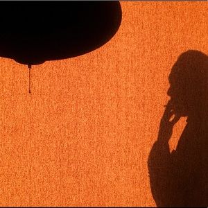 Meet your Posher, Bruce